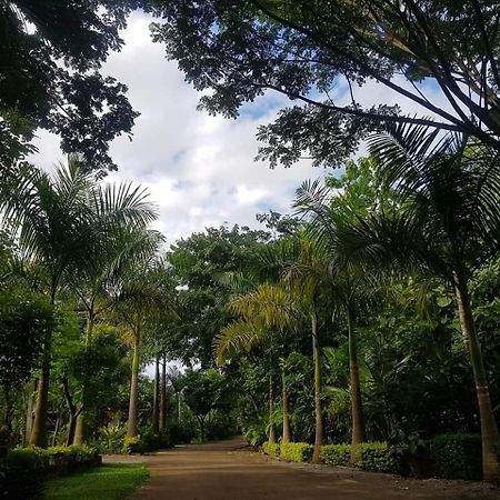 Hotel Samnaree Garden House Ban Phae Mai Zewnętrze zdjęcie